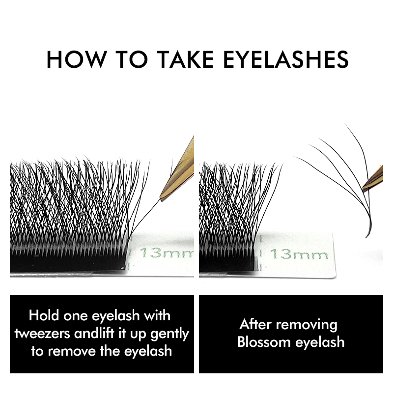 NATUHANA 3D W Hình Nối Mi Prem - đánh giá và giá Eyelash Extension For Asian Eyes