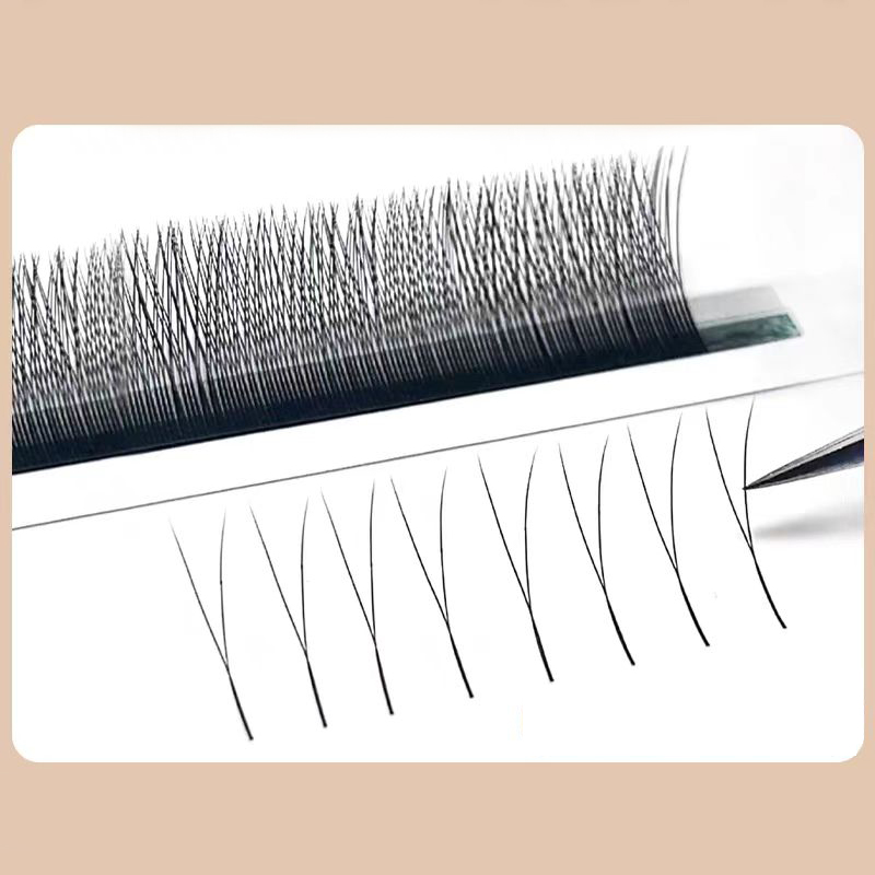 MARIA 2D Y Shape Eyelashes Han - đánh giá và giá Eyelash Extension For Asian Eyes