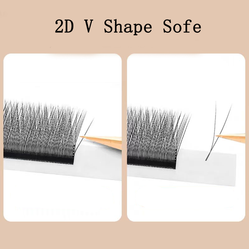 MARIA 2D Y Shape Eyelashes Han - đánh giá và giá Eyelash Extension For Asian Eyes